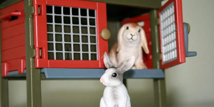 Le clapier à lapin : comment bien choisir un enclos pour son lapin ?