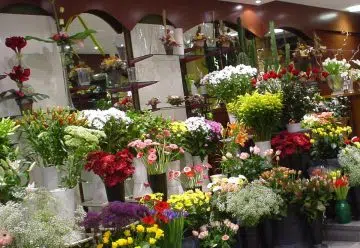 acheter des fleurs à Marseille