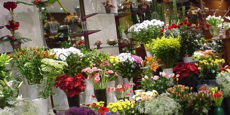 acheter des fleurs à Marseille