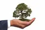 Tout savoir sur les nouveaux métiers de l’environnement