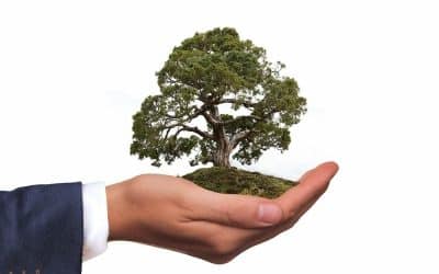 Tout savoir sur les nouveaux métiers de l’environnement