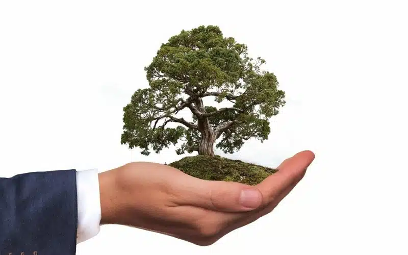 Tout savoir sur les nouveaux métiers de l’environnement